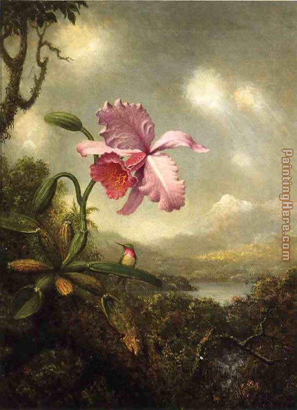 Hummingbird and Orchid, Sun Breaking Through the Clouds painting - Martin Johnson Heade Hummingbird and Orchid, Sun Breaking Through the Clouds art painting